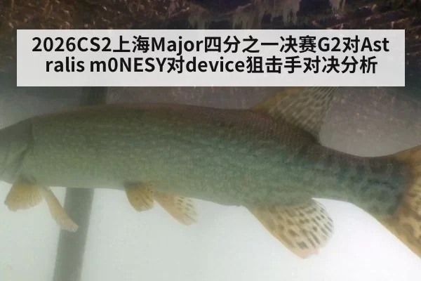2026CS2上海Major四分之一决赛G2对Astralis m0NESY对device狙击手对决分析